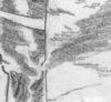 serpentor9x2.jpg